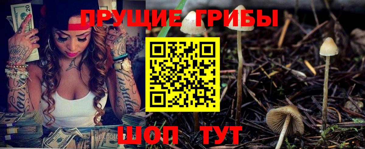 Псилоцибиновые грибы Cubensis Сунжа