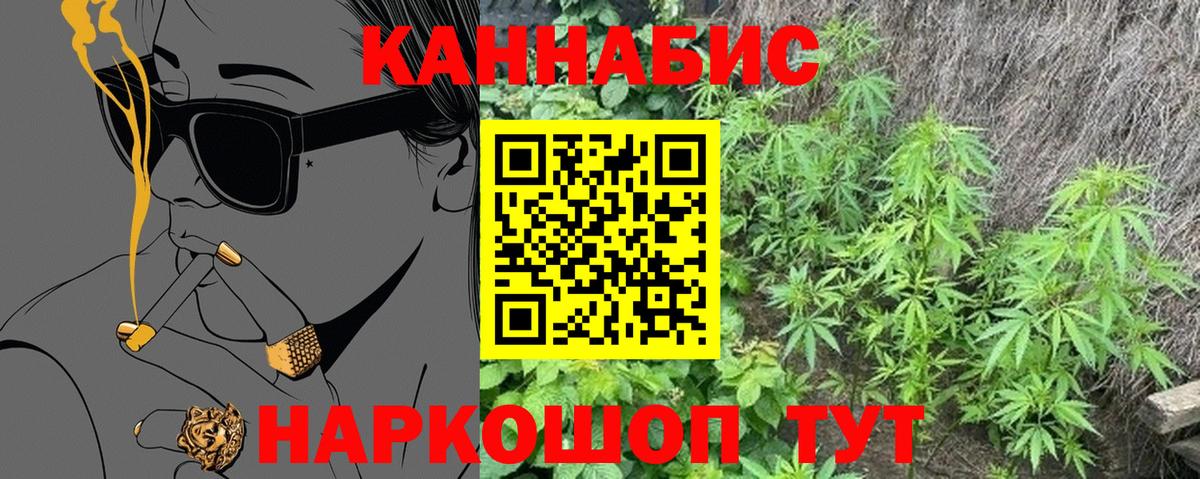 Каннабис VHQ  Вход с VPN  МАРИХУАНА план  Конопля сатива  Сунжа 